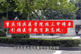 重庆顶尖医学院校三甲榜单，引领医学教育新高地！