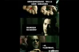 热门网络搞笑图片（4）视频封面