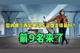 国内哪个两轮电动车品牌卖得最好？销量前9名来了，有你的车吗？视频封面