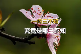“一问三不知”，究竟是哪三不知？来听个故事你就懂了视频封面