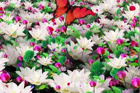 晚年最可怜的4大生肖，孤苦伶仃，没人搭理，没人疼爱，没人照顾