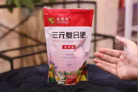 养花用什么通用肥料促进植物生长？园艺师教你，用三元复合肥