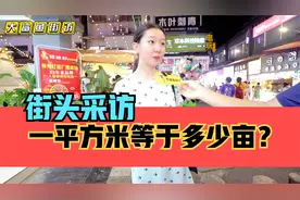 街头采访，一平方米等于多少亩？这题目太烧脑了！