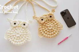 猫头鹰手机包：猛禽还是萌禽？先叼走你的手机再说视频封面