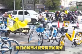 “郑大奇景”：一夜单车“迁徙”开封，背后故事引热议聊