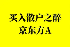 2005年买入十万京东方A，持有不动分红再买入，如今还剩多少钱？视频封面