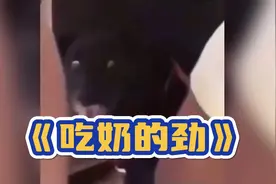 终于知道“吃奶的劲”是什么意思了，看完这个图人都吓麻了视频封面