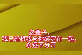 这辈子，我已经将我与你绑定在一起，永远不分开视频封面