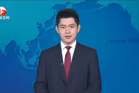 王清宪与中欧国际工商学院企业家考察团座谈（安徽新闻联播）视频封面