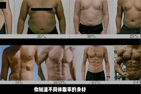 不同体脂率的身材和特征｜从3%到60%｜男性版