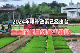2024年粮补政策出台了，看看你能拿到多少补贴？视频封面