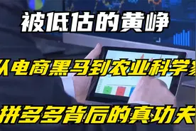 被低估的黄峥，从电商黑马到农业科学家，拼多多背后的真功夫视频封面
