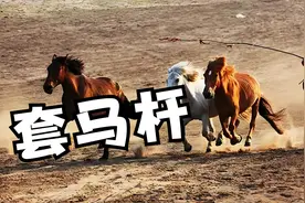 《套马杆》MV，真正体现了草原的辽阔，及草原人豪爽性格