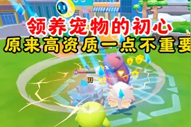 蛋仔派对：领养宠物的初心你还记得吗？原来高资质一点都不重要！