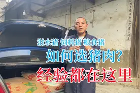 泔水猪、饲料猪、粮食猪，买猪肉要怎么选？老顾分享全是干货视频封面