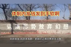 为何大学生都想去街道办？视频封面