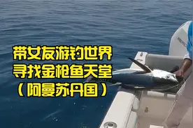 热心钓友发现中东国家阿曼的金枪鱼泛滥了，帅小伙带女友火速前往视频封面