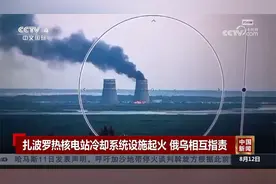 扎波罗热核电站冷却系统设施起火 俄乌相互指责视频封面