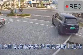 理想L9自动泊车失败 径直向马路上走去视频封面