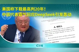 美国称下载最高判20年！中国代表霸气回应DeepSeek引发轰动视频封面
