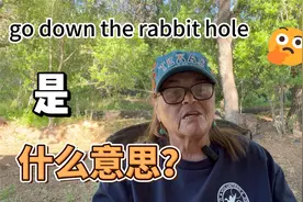 go down the rabbit hole是什么意思？