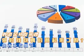 养老金补发来袭，你的钱包真的鼓起来了吗？陕西补发细节！视频封面