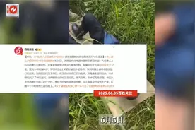 惊险！八旬老人深山被五步蛇咬穿雨靴，血清 + 抢救 5 小时终脱险