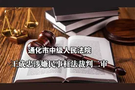 10：王成忠涉嫌民事枉法裁判（二审）【最后陈述】完结篇视频封面