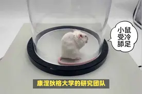 新研究：人类寿命有望能延长至130岁 晚年也有高质量生活视频封面