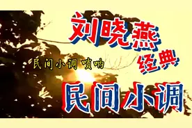 民间小调 （唢呐 ）刘晓燕视频封面