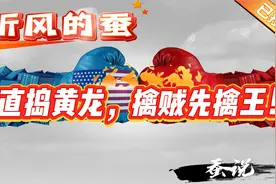 听风的蚕：直捣黄龙，擒贼先擒王！视频封面