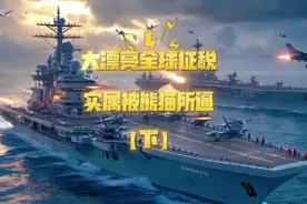 大漂亮全球征税实属被熊猫所逼