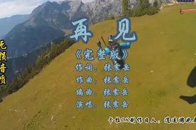 再见  张震岳（完整版）