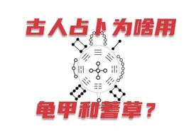 古人占卜为啥用龟甲和蓍草？里面有啥深意？视频封面