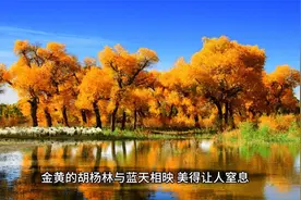 不可思议！中国八大国家级公园，美到让人窒息视频封面