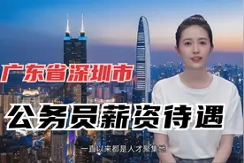 广东省深圳市公务员薪资待遇,真相大揭秘！视频封面