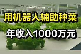 男子打造一个神奇的蔬菜工厂，用机器人辅助种菜，年收入1000万元视频封面