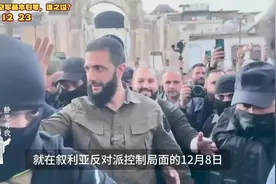 叙利亚政府军基本归零，谁之过？（完结版）