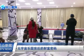 【乳山新闻】元宇宙乐园背后的财富密码视频封面