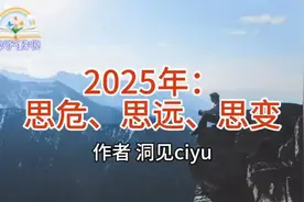 《2025年：思危、思远、思变》作者 洞见 ‖命视频封面