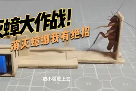 蟑螂是不是只有广东才有？