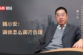 魏小安：调休怎么调才合理视频封面