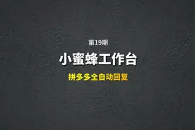 PDD客服自动回复就用小蜜蜂，小蜜蜂工作台助手重磅更新视频封面