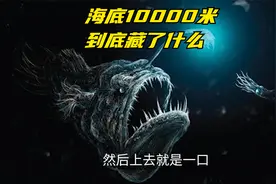 海底10000米到底有什么？