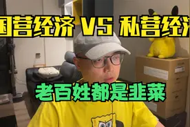 国营经济和私营经济哪个更好？无异，老百姓都是韭菜视频封面