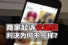 商家起诉仅退款，判决为何不一样？不同法院分两派四种意见视频封面