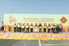 杨凌：多彩活动庆丰收 田间喜迎农高会视频封面
