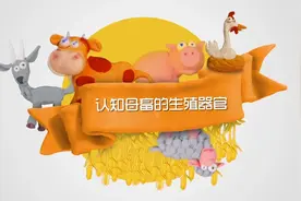 认知雌性动物的生殖系统视频封面