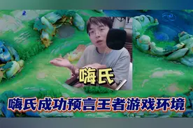 曾经王者一哥嗨氏退游王者并成功预言，讲出王者游戏环境差的原因