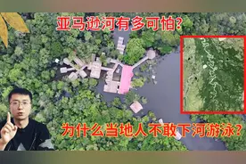 亚马逊河有多可怕？为啥当地人都不敢下河游泳视频封面